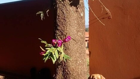 Vista da represa e Capitólio