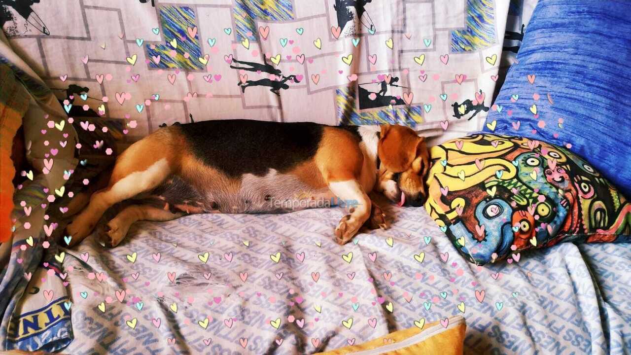 House for vacation rental in São José da Barra (Zona Rural)