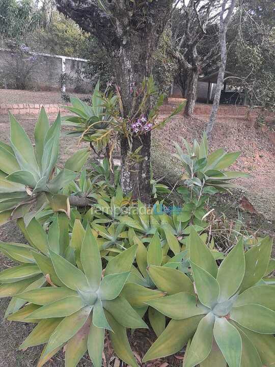 Chácara / sítio para aluguel de temporada em Itupeva (Estrada Orestes Favotto)