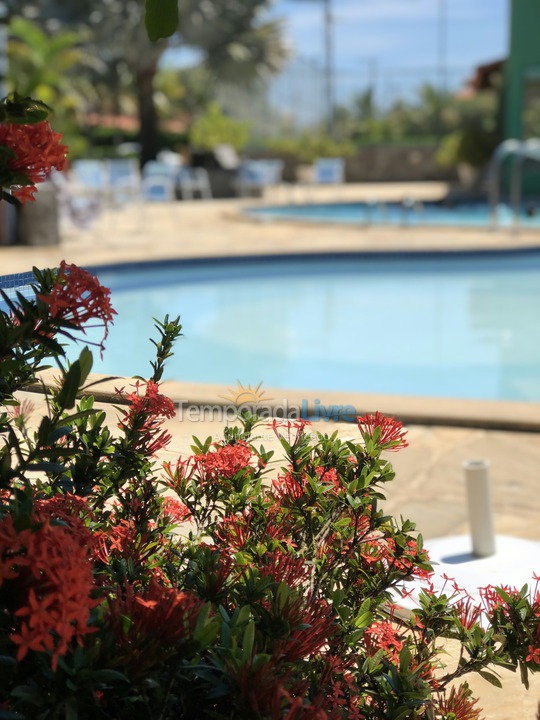 House for vacation rental in Armação dos Búzios (Praia de Manguinhos)