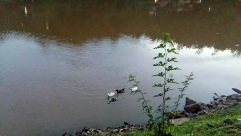Casa Lago dos Patos