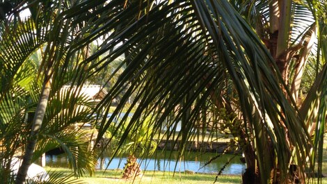 Casa Maravilhosa e Aconchegante no meio da Natureza próxima das praias