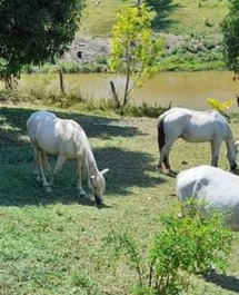 Casa na Ilha Barra Grande/Estrada de Ponta Grossa
