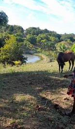 Casa na Ilha Barra Grande/Estrada de Ponta Grossa
