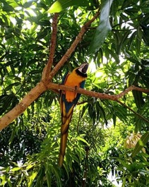 Casa na Ilha Barra Grande/Estrada de Ponta Grossa