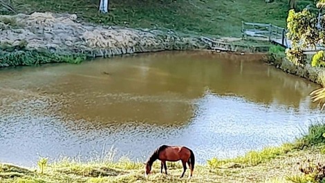 Road house of Ponta Grossa / Barra Grande