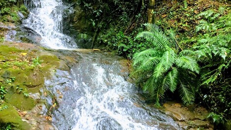 Rancho da Montanha, cascada, trabajo de internet p