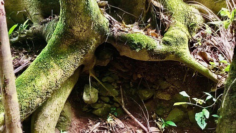 Rancho da Montanha, cascada, trabajo de internet p