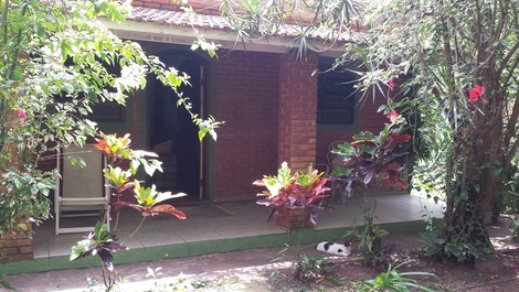 Rural House in the Enchanted Forest