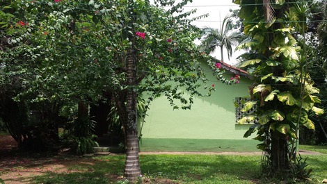 Rural House in the Enchanted Forest