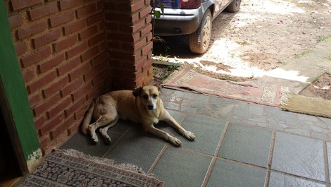 Rural House in the Enchanted Forest