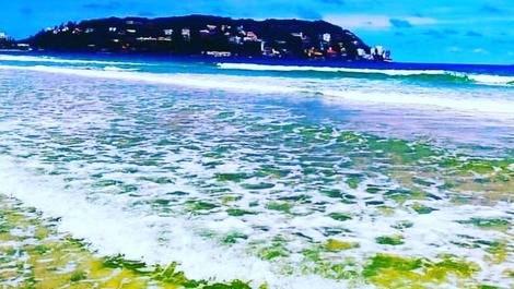 Alugo flats na península no Guarujá, praia de enseada, 30m do mar