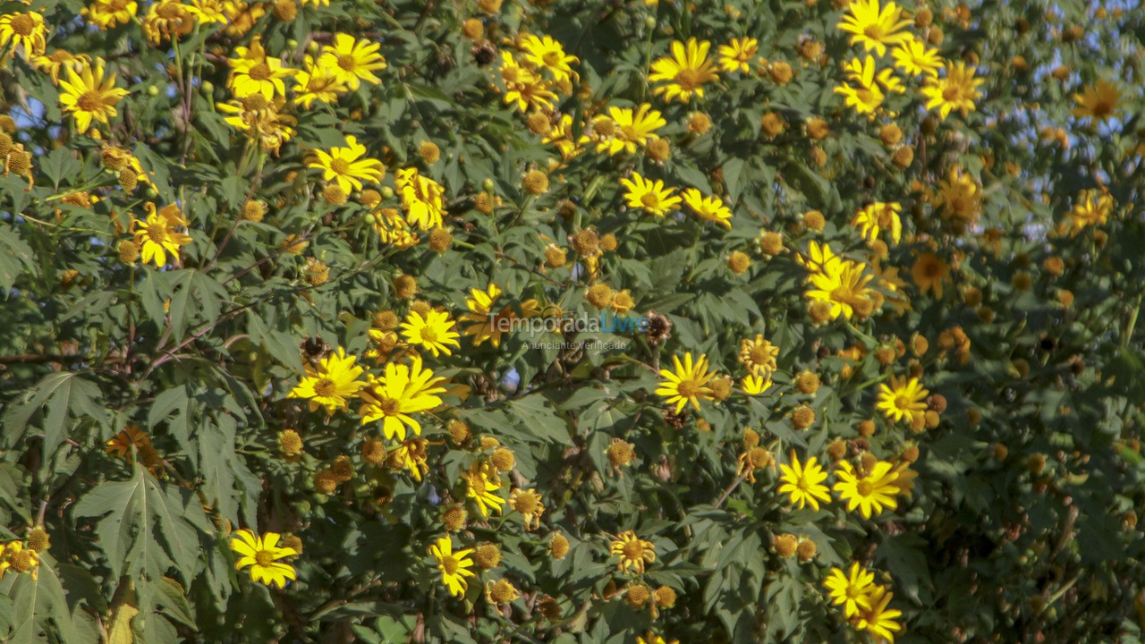 Chácara / sítio para aluguel de temporada em Goianápolis (Zona Rural)
