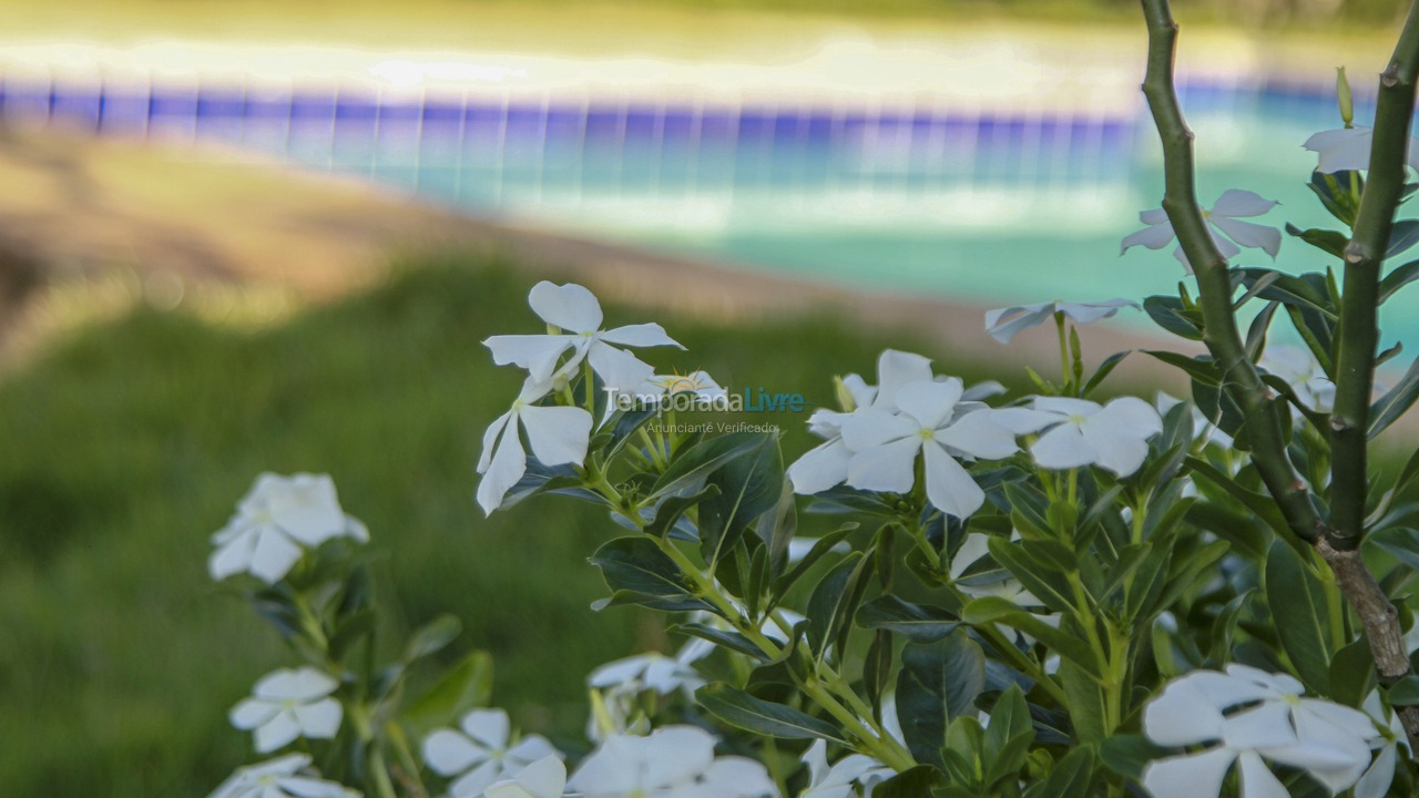 Chácara / sítio para aluguel de temporada em Goianápolis (Zona Rural)