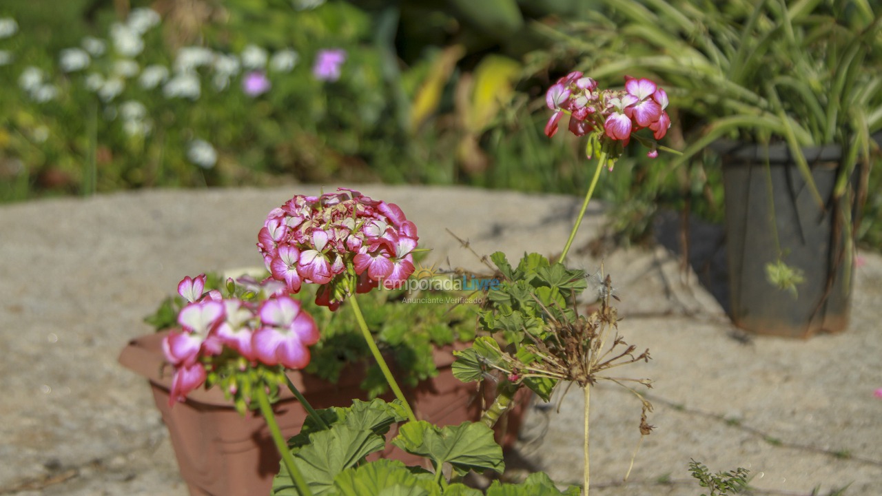 Chácara / sítio para aluguel de temporada em Goianápolis (Zona Rural)