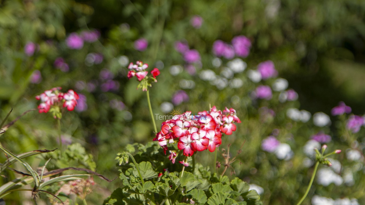 Chácara / sítio para aluguel de temporada em Goianápolis (Zona Rural)