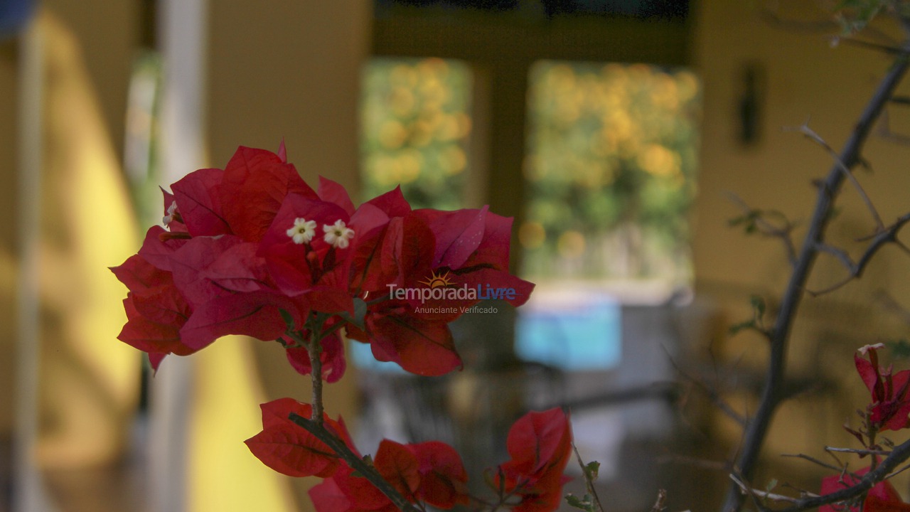 Chácara / sítio para aluguel de temporada em Goianápolis (Zona Rural)