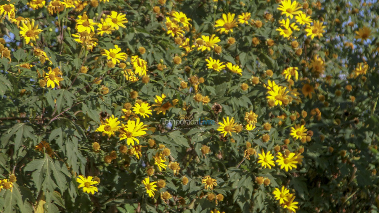 Chácara / sítio para aluguel de temporada em Goianápolis (Zona Rural)