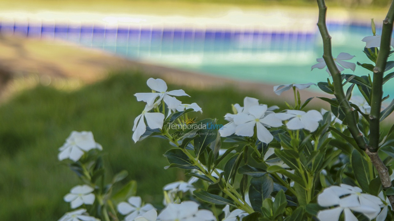 Chácara / sítio para aluguel de temporada em Goianápolis (Zona Rural)