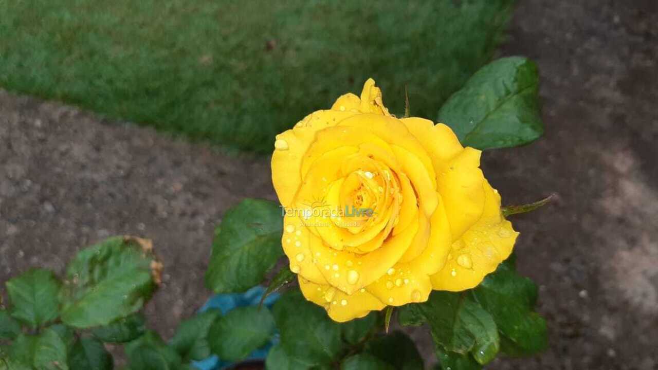 Chácara / sítio para aluguel de temporada em Igaratá (Bairro Alto)