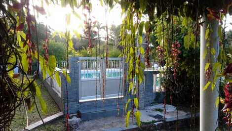 Pergolado frente a piscina