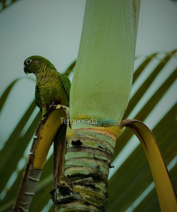 Granja para alquiler de vacaciones em Peruíbe (Itariri)