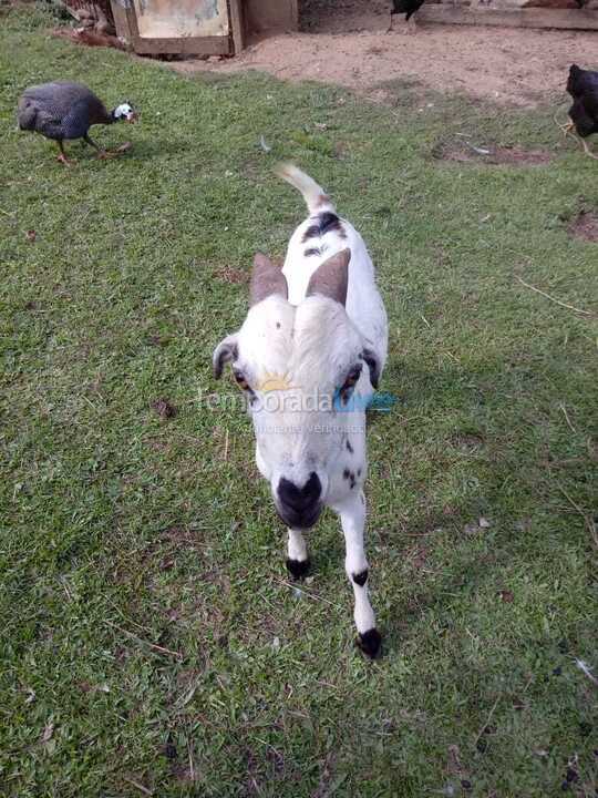Granja para alquiler de vacaciones em Peruíbe (Itariri)