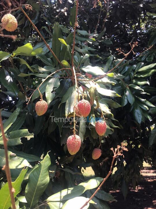 Chácara / sítio para aluguel de temporada em São Pedro (Bairro Alpes das Aguas)