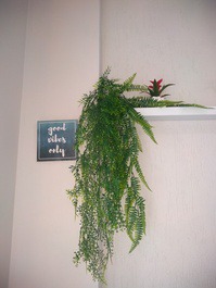 Apê de Frente Pro Mar com Wifi