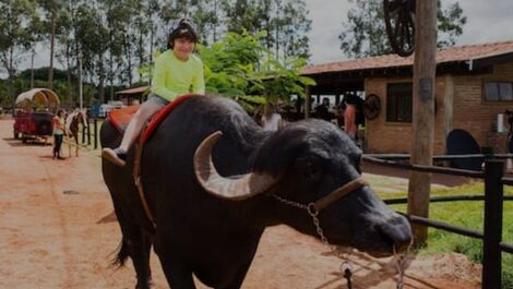 Apartamento Barretos Country Resort