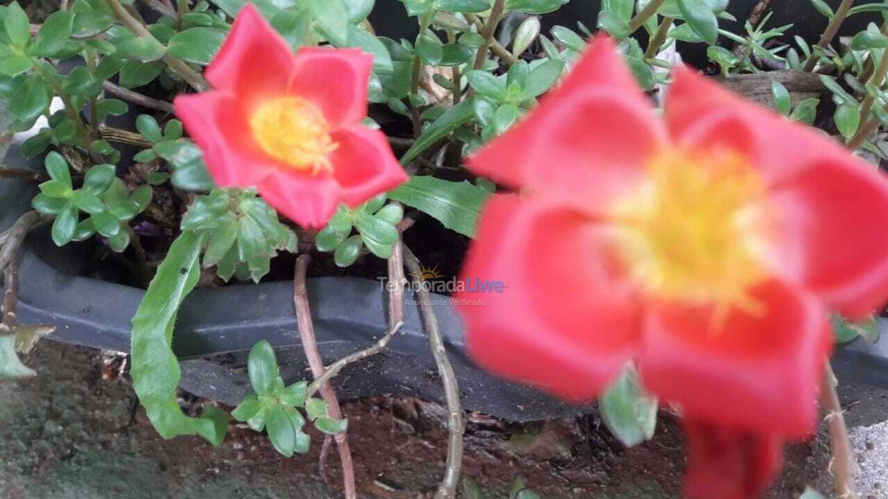 Chácara / sítio para aluguel de temporada em Ibiúna (Sorocamirim)