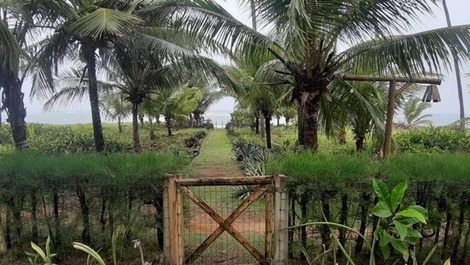 Seafront House with 6 suites