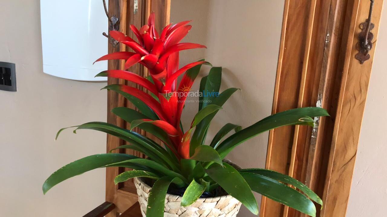 Casa para alquiler de vacaciones em Petrópolis (Araras)