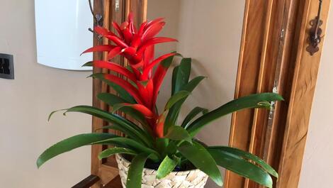 Casa Alto do Vale - La vista más hermosa de las montañas