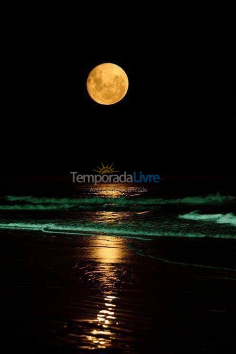 Apartment for vacation rental in Bombinhas (Praia de Bombas)