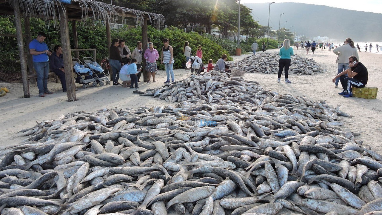 Apartamento para alquiler de vacaciones em Bombinhas (Praia de Bombinhas)