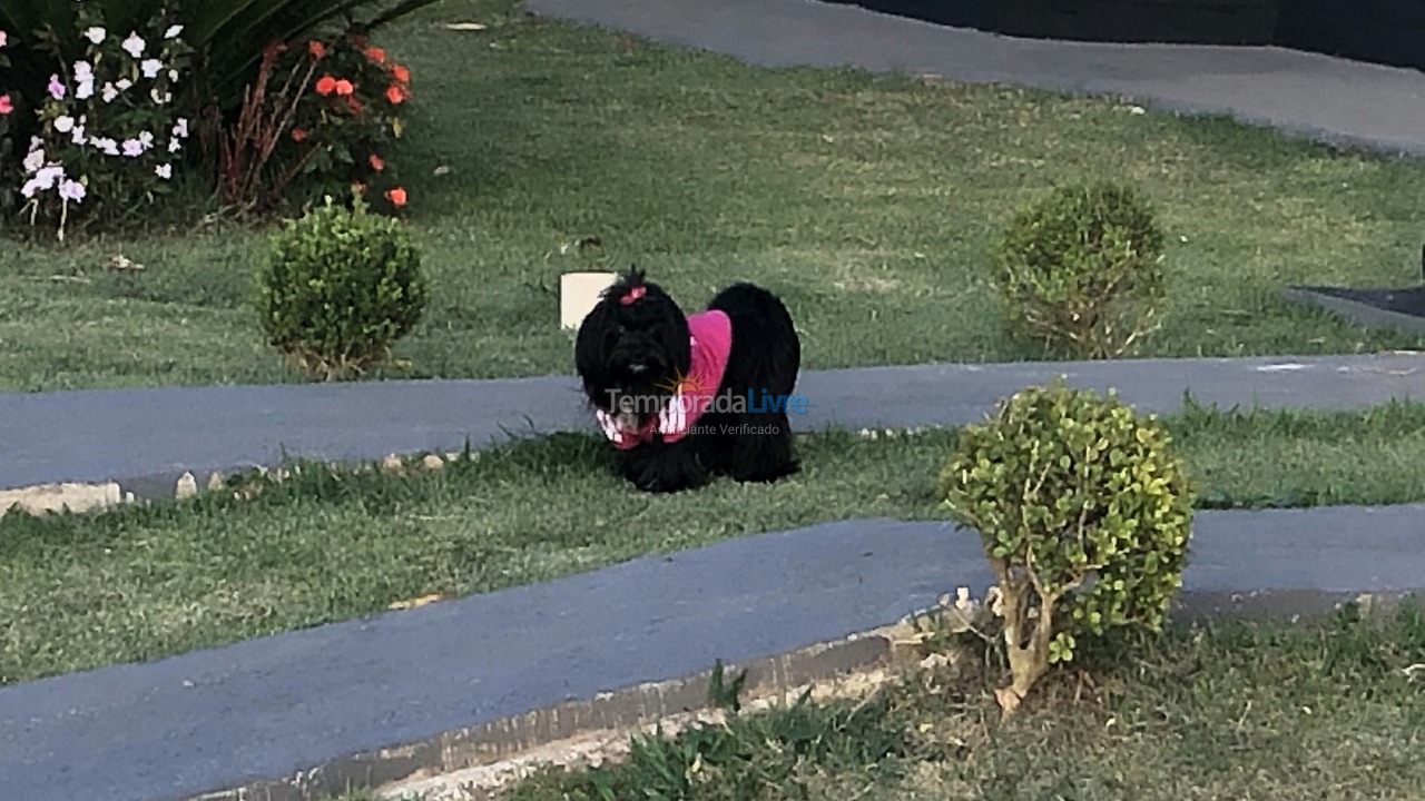 Casa para alquiler de vacaciones em Pardinho (Ninho Verde Eco Residence)