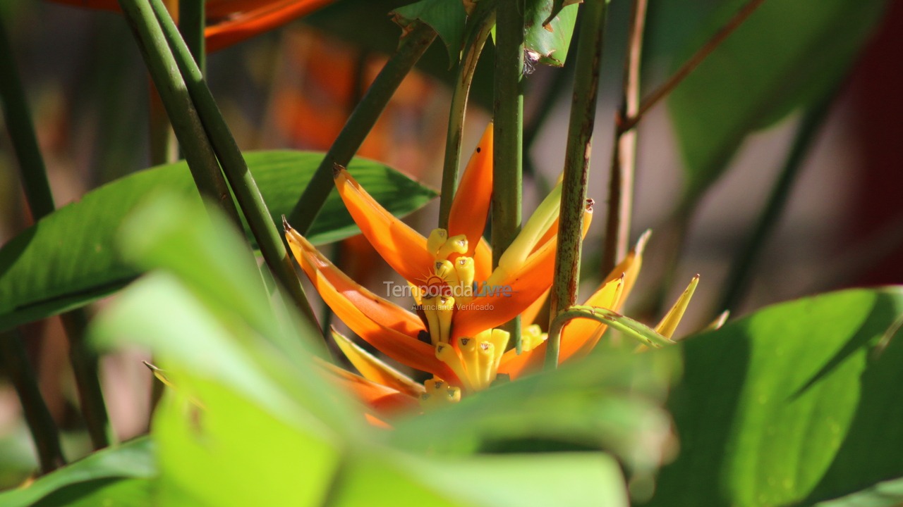 Chácara / sítio para aluguel de temporada em Campinas (Ingatuba)