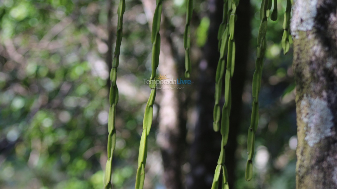 Chácara / sítio para aluguel de temporada em Campinas (Ingatuba)