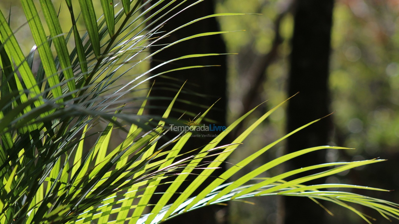 Chácara / sítio para aluguel de temporada em Campinas (Ingatuba)