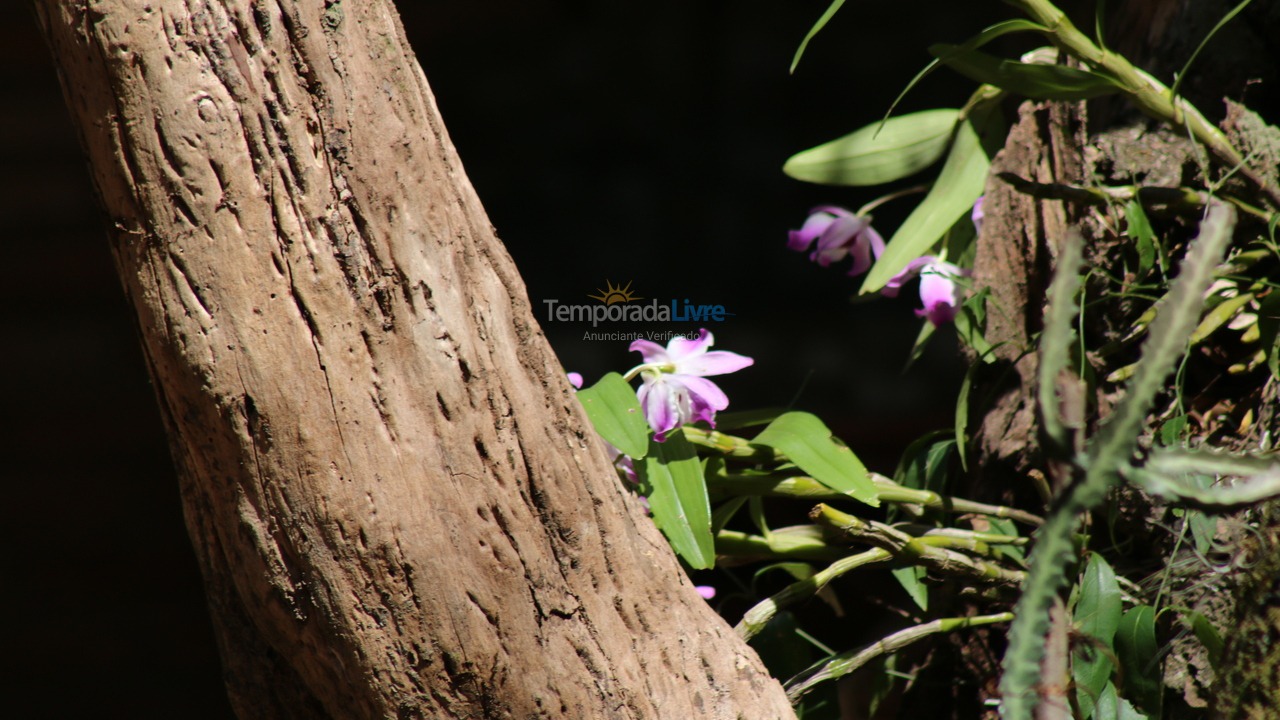 Chácara / sítio para aluguel de temporada em Campinas (Ingatuba)