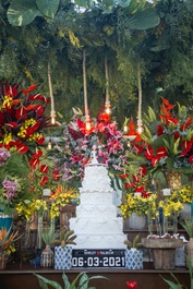 Casa de canoa (playa tombo) en la arena, cosa de película