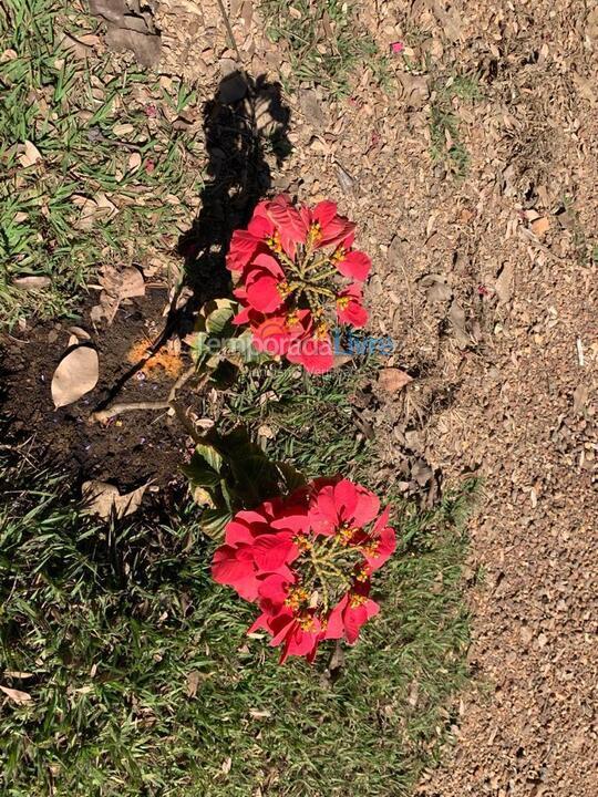 Casa para aluguel de temporada em Alexânia (Condomínio Parque do Corumbá)