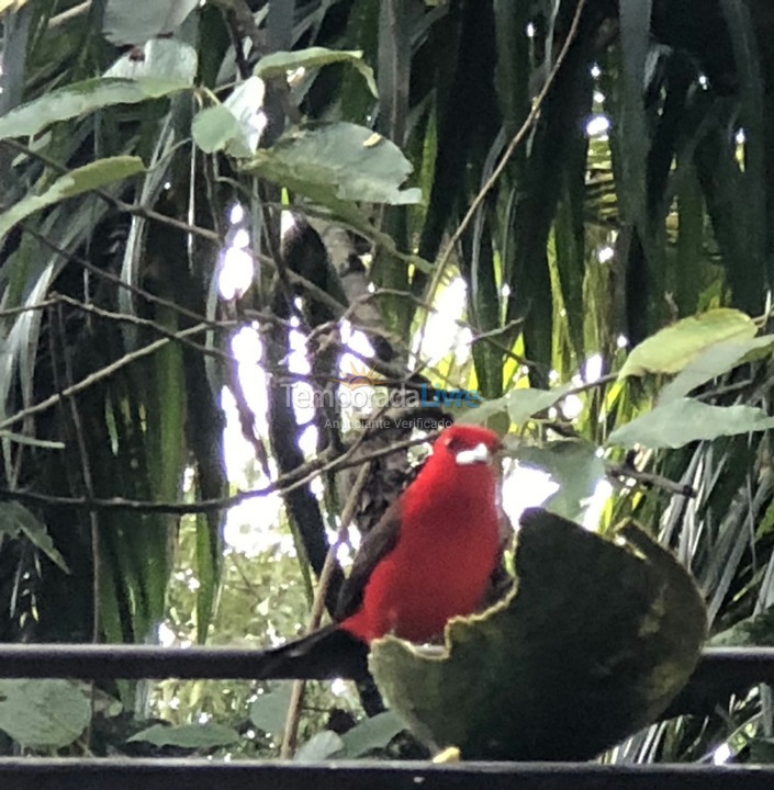 Casa para aluguel de temporada em Ilhabela (Praia da Feiticeira)
