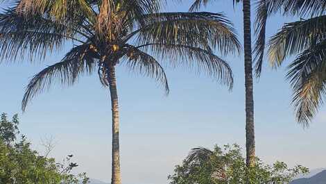 CASA JARDIM FRENTE MAR Praia LAGOINHA Ubatuba PE NA AREIA 6 pess