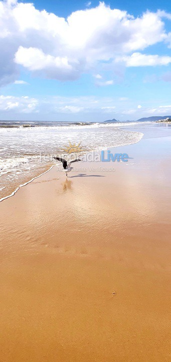 Apartment for vacation rental in Matinhos (Balneário Ipacaraí)
