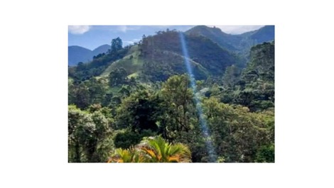 Paraíso da Mantiqueira SFX Santa Bárbara