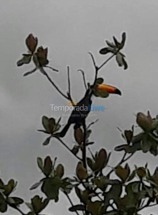 Chácara / sítio para aluguel de temporada em São José dos Campos (Buquirinha)