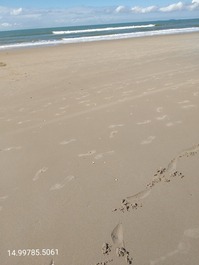 Itapoá Residential House