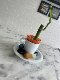 Hermoso Piso Duque de Caxias